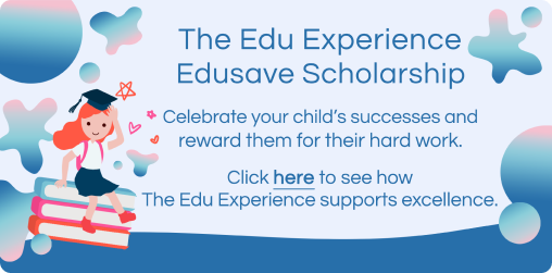 The Edu Experience Edusave Scholarship
