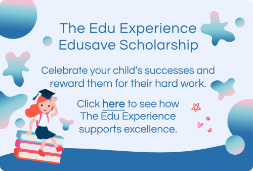 The Edu Experience Edusave Scholarship